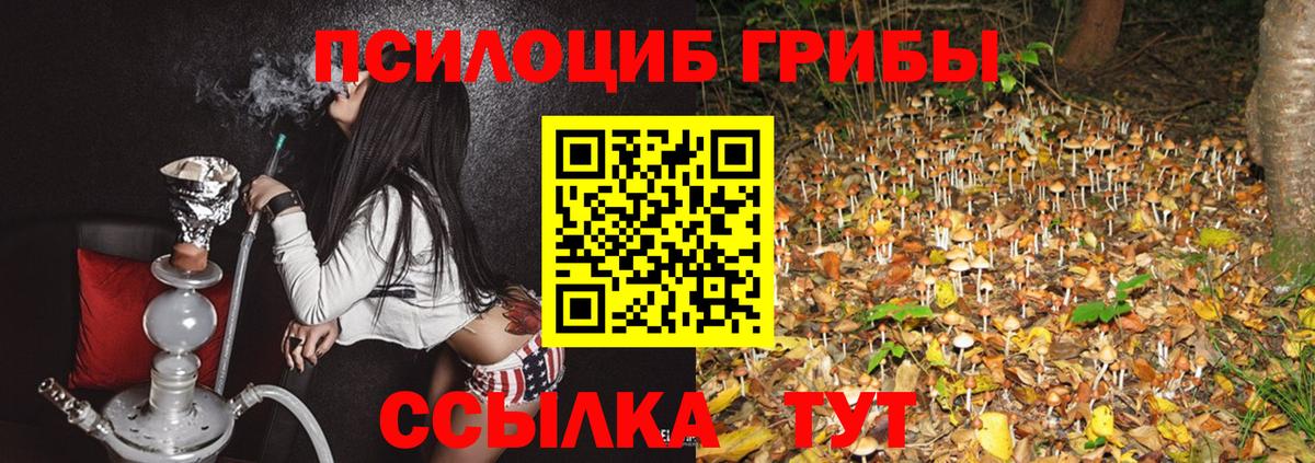 Псилоцибиновые грибы мухоморы Санкт-Петербург